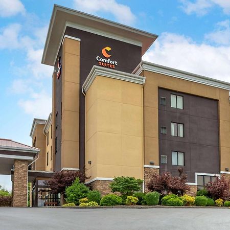 Comfort Suites Кингспорт Екстериор снимка